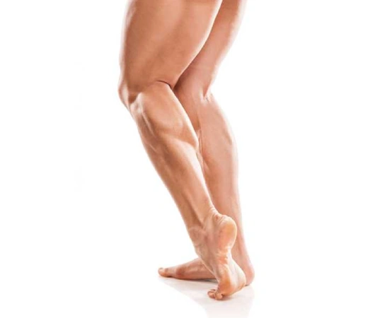 Pectoral And Calf Augmentation